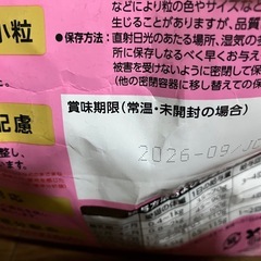 キャットスマック子猫用の画像