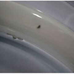 ①ニトリ　LED　シーリングライト　プリメーラ3 6J　動作良好　6畳　調光　リモコン付き　LED照明　天井照明　昼光色　NITORI　306ZSの画像