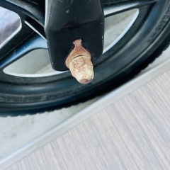 STRIDER（ストライダー） の画像