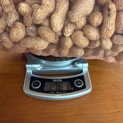 殻付き落花生　なまの画像