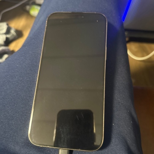 携帯アクセサリー iI Phone16pro max  1tb