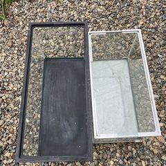 決まりました‼️水槽2つの画像