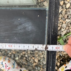 決まりました‼️水槽2つの画像