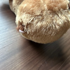 ラッコ　ぬいぐるみの画像