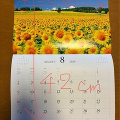 
2026年カレンダーの画像