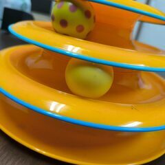 猫用おもちゃの画像