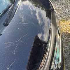 現状車で良ければの画像