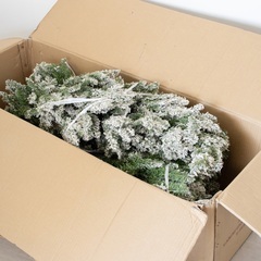 【見栄え抜群】クリスマスツリー フロストツリー 170cm程の画像