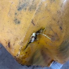 水タンク 300L？の画像