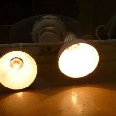 お引取り限定/三重県/値引不可(値引きコメント返信不可)　中古 ニトリ 4灯 シーリングライト [G-296]の画像