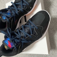 NIKE ナイキ AIR JORDAN XXXVII LOW PF エアジョーダン 37 スニーカー　27cmの画像