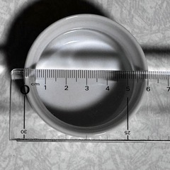 ココットの画像