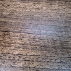 【11/20まで】表紙が見える絵本棚の画像