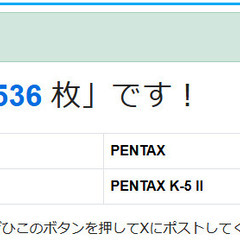 完動品 PENTAX K-5Ⅱ ボディーの画像