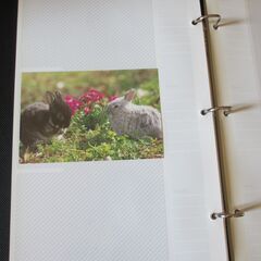 洋書のようなフォトアルバム　新品未開封1冊　おまけで開封済み1冊の画像