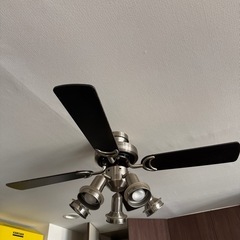 オーデリック　シーリングふぁんファンの画像