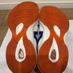 体育館シューズ　moonstar 23.0㎝の画像