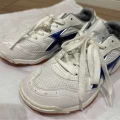 体育館シューズ　moonstar 23.0㎝の画像