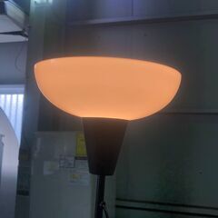 ジャングル×2和泉大型良品館 IKEA TAGARP スタンドライト【R-140】の画像