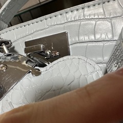 🤍ライトブルー🩵❄️🧊𝟐wayバッグの画像