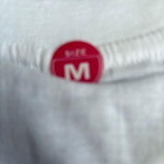 Tシャツ　新品　ほっといてください。の画像