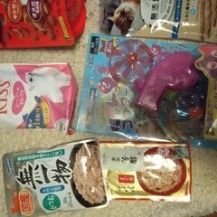 猫用おもちゃセットの画像