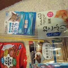 猫用おもちゃセットの画像