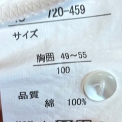 ノースリーブ トップス 100 ホワイト フレア 刺繍の画像