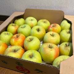 名月 長野県安曇野産 林檎6.4kg19個④の画像