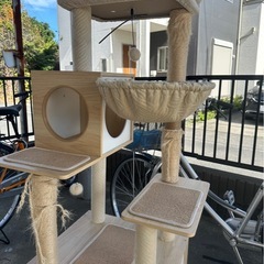 猫　キャットタワー
の画像