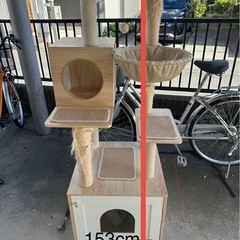 猫　キャットタワー
の画像