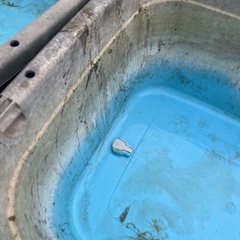 商談中　ジャンボタライ120Lの画像