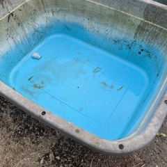 商談中　ジャンボタライ120Lの画像