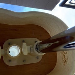 トルソー 展示用の画像