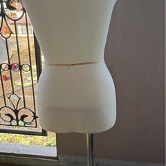 トルソー 展示用の画像