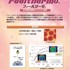 高級羽毛布団 掛布団 シングル　フィールサーモ ロイヤルゴールドラベルの画像