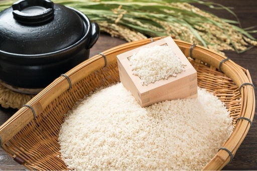 令和7年産　きぬむすめ　玄米30kg 新米