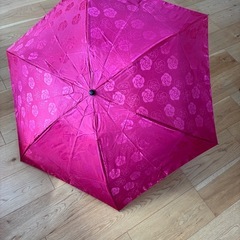 MAXIME LABEYRIE おりたたみかさ折りたたみ傘の画像