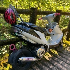 アドレスv125の画像