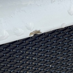 インプレッサFRPボンネットの画像