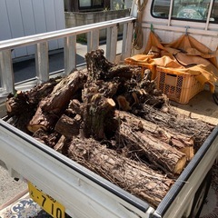 薪にいかがですか？ 楡 杉 紅葉などミックスですの画像