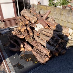 薪にいかがですか？ 楡 杉 紅葉などミックスですの画像