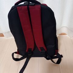 リュック　ジャンク　チャック部の布にほつれあり　修理できる人、重いものを入れない人向けの画像