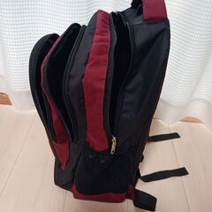 リュック　ジャンク　チャック部の布にほつれあり　修理できる人、重いものを入れない人向けの画像