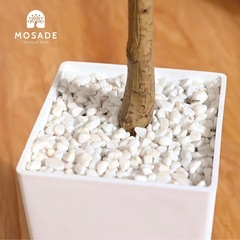 MOSADE オリーブ プレミアム 光触媒 消臭 フェイクグリーン の画像