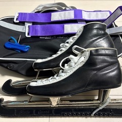 スピードスケート　22.0の画像