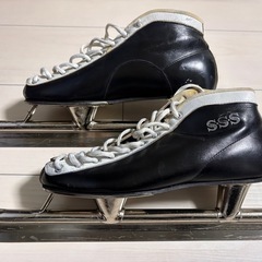 スピードスケート　24.0 の画像