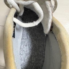 スピードスケート　24.0 の画像