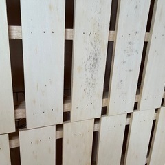 2段ベッドの画像