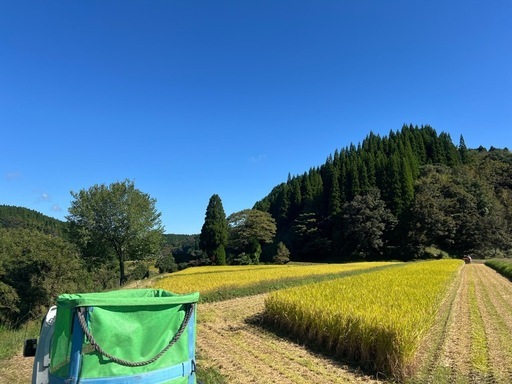 残り2袋　令和7年度 ヒノヒカリ 玄米 30kg　山都町産　